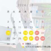 ヒメ日記 2024/12/13 20:25 投稿 望月　ひじり アソビザ女子社員 イメクラ部