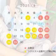 ヒメ日記 2025/04/02 01:03 投稿 望月　ひじり アソビザ女子社員 イメクラ部