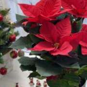 ヒメ日記 2024/12/16 06:28 投稿 大田智子 五十路マダム 愛されたい熟女たち 高松店