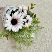 ヒメ日記 2024/12/27 06:28 投稿 大田智子 五十路マダム 愛されたい熟女たち 高松店