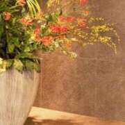 ヒメ日記 2024/12/30 20:04 投稿 大田智子 五十路マダム 愛されたい熟女たち 高松店