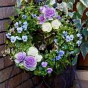 ヒメ日記 2025/01/06 06:28 投稿 大田智子 五十路マダム 愛されたい熟女たち 高松店