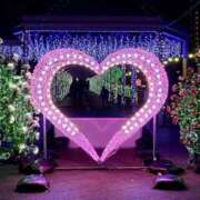 ヒメ日記 2025/01/08 20:26 投稿 大田智子 五十路マダム 愛されたい熟女たち 高松店