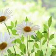 ヒメ日記 2025/01/26 06:28 投稿 大田智子 五十路マダム 愛されたい熟女たち 高松店