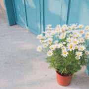 ヒメ日記 2025/01/27 08:12 投稿 大田智子 五十路マダム 愛されたい熟女たち 高松店