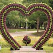 ヒメ日記 2025/01/27 19:34 投稿 大田智子 五十路マダム 愛されたい熟女たち 高松店