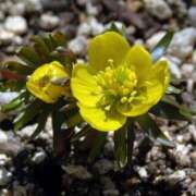 ヒメ日記 2025/02/04 06:30 投稿 大田智子 五十路マダム 愛されたい熟女たち 高松店