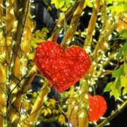 ヒメ日記 2025/02/08 21:10 投稿 大田智子 五十路マダム 愛されたい熟女たち 高松店