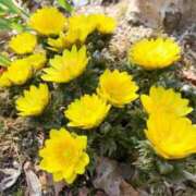 ヒメ日記 2025/02/15 06:28 投稿 大田智子 五十路マダム 愛されたい熟女たち 高松店