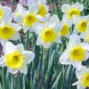 ヒメ日記 2025/02/17 06:32 投稿 大田智子 五十路マダム 愛されたい熟女たち 高松店