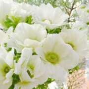 ヒメ日記 2025/02/19 06:28 投稿 大田智子 五十路マダム 愛されたい熟女たち 高松店