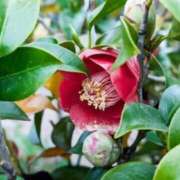 ヒメ日記 2025/02/23 07:48 投稿 大田智子 五十路マダム 愛されたい熟女たち 高松店