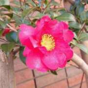 ヒメ日記 2025/02/24 06:22 投稿 大田智子 五十路マダム 愛されたい熟女たち 高松店