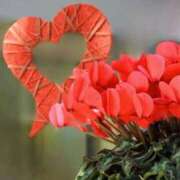 ヒメ日記 2025/02/28 06:28 投稿 大田智子 五十路マダム 愛されたい熟女たち 高松店