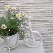 ヒメ日記 2025/03/15 06:28 投稿 大田智子 五十路マダム 愛されたい熟女たち 高松店