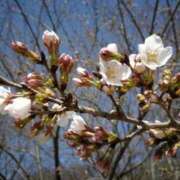 ヒメ日記 2025/03/16 06:32 投稿 大田智子 五十路マダム 愛されたい熟女たち 高松店