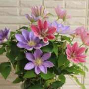 ヒメ日記 2025/03/20 06:22 投稿 大田智子 五十路マダム 愛されたい熟女たち 高松店