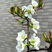 ヒメ日記 2025/03/21 06:20 投稿 大田智子 五十路マダム 愛されたい熟女たち 高松店