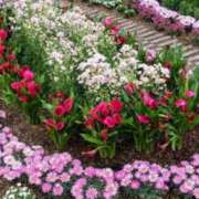 ヒメ日記 2025/03/24 06:28 投稿 大田智子 五十路マダム 愛されたい熟女たち 高松店