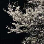 ヒメ日記 2025/03/31 19:32 投稿 大田智子 五十路マダム 愛されたい熟女たち 高松店