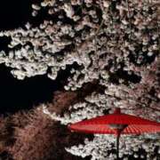 ヒメ日記 2025/04/05 20:38 投稿 大田智子 五十路マダム 愛されたい熟女たち 高松店