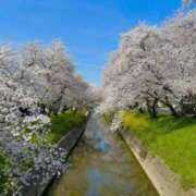 ヒメ日記 2025/04/06 06:20 投稿 大田智子 五十路マダム 愛されたい熟女たち 高松店