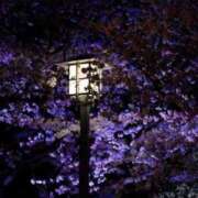 ヒメ日記 2025/04/06 21:28 投稿 大田智子 五十路マダム 愛されたい熟女たち 高松店