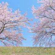 ヒメ日記 2025/04/07 06:20 投稿 大田智子 五十路マダム 愛されたい熟女たち 高松店