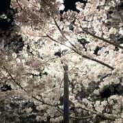 ヒメ日記 2025/04/08 20:14 投稿 大田智子 五十路マダム 愛されたい熟女たち 高松店