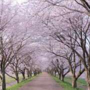 ヒメ日記 2025/04/09 06:28 投稿 大田智子 五十路マダム 愛されたい熟女たち 高松店