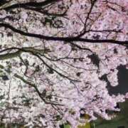 ヒメ日記 2025/04/09 19:18 投稿 大田智子 五十路マダム 愛されたい熟女たち 高松店