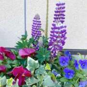 ヒメ日記 2025/04/12 06:32 投稿 大田智子 五十路マダム 愛されたい熟女たち 高松店