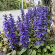 ヒメ日記 2025/04/13 06:52 投稿 大田智子 五十路マダム 愛されたい熟女たち 高松店