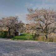 ヒメ日記 2025/04/13 19:02 投稿 大田智子 五十路マダム 愛されたい熟女たち 高松店