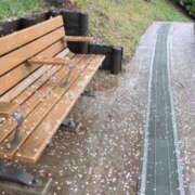 ヒメ日記 2025/04/15 19:36 投稿 大田智子 五十路マダム 愛されたい熟女たち 高松店