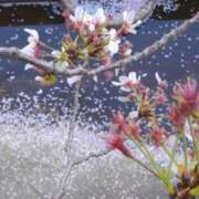 ヒメ日記 2025/04/17 19:34 投稿 大田智子 五十路マダム 愛されたい熟女たち 高松店