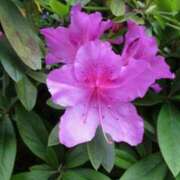 ヒメ日記 2025/04/18 06:22 投稿 大田智子 五十路マダム 愛されたい熟女たち 高松店