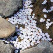 ヒメ日記 2025/04/18 20:18 投稿 大田智子 五十路マダム 愛されたい熟女たち 高松店