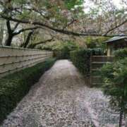 ヒメ日記 2025/04/19 19:26 投稿 大田智子 五十路マダム 愛されたい熟女たち 高松店