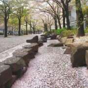 ヒメ日記 2025/04/20 19:42 投稿 大田智子 五十路マダム 愛されたい熟女たち 高松店