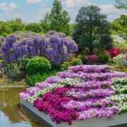 ヒメ日記 2025/05/06 06:32 投稿 大田智子 五十路マダム 愛されたい熟女たち 高松店