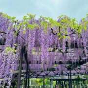 ヒメ日記 2025/05/07 06:30 投稿 大田智子 五十路マダム 愛されたい熟女たち 高松店