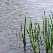 ヒメ日記 2025/05/11 23:24 投稿 大田智子 五十路マダム 愛されたい熟女たち 高松店