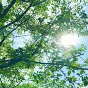 ヒメ日記 2025/05/14 20:10 投稿 大田智子 五十路マダム 愛されたい熟女たち 高松店