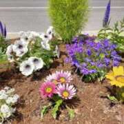 ヒメ日記 2025/05/16 06:28 投稿 大田智子 五十路マダム 愛されたい熟女たち 高松店