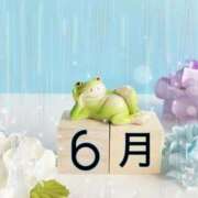 ヒメ日記 2025/06/01 06:32 投稿 大田智子 五十路マダム 愛されたい熟女たち 高松店