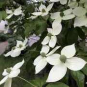 ヒメ日記 2025/06/03 06:20 投稿 大田智子 五十路マダム 愛されたい熟女たち 高松店