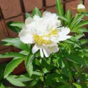 ヒメ日記 2025/06/05 07:18 投稿 大田智子 五十路マダム 愛されたい熟女たち 高松店