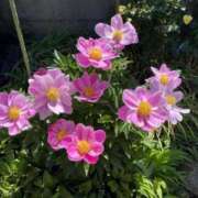 ヒメ日記 2025/06/06 06:38 投稿 大田智子 五十路マダム 愛されたい熟女たち 高松店