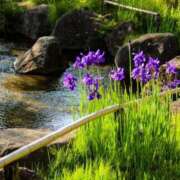 ヒメ日記 2025/06/18 06:20 投稿 大田智子 五十路マダム 愛されたい熟女たち 高松店